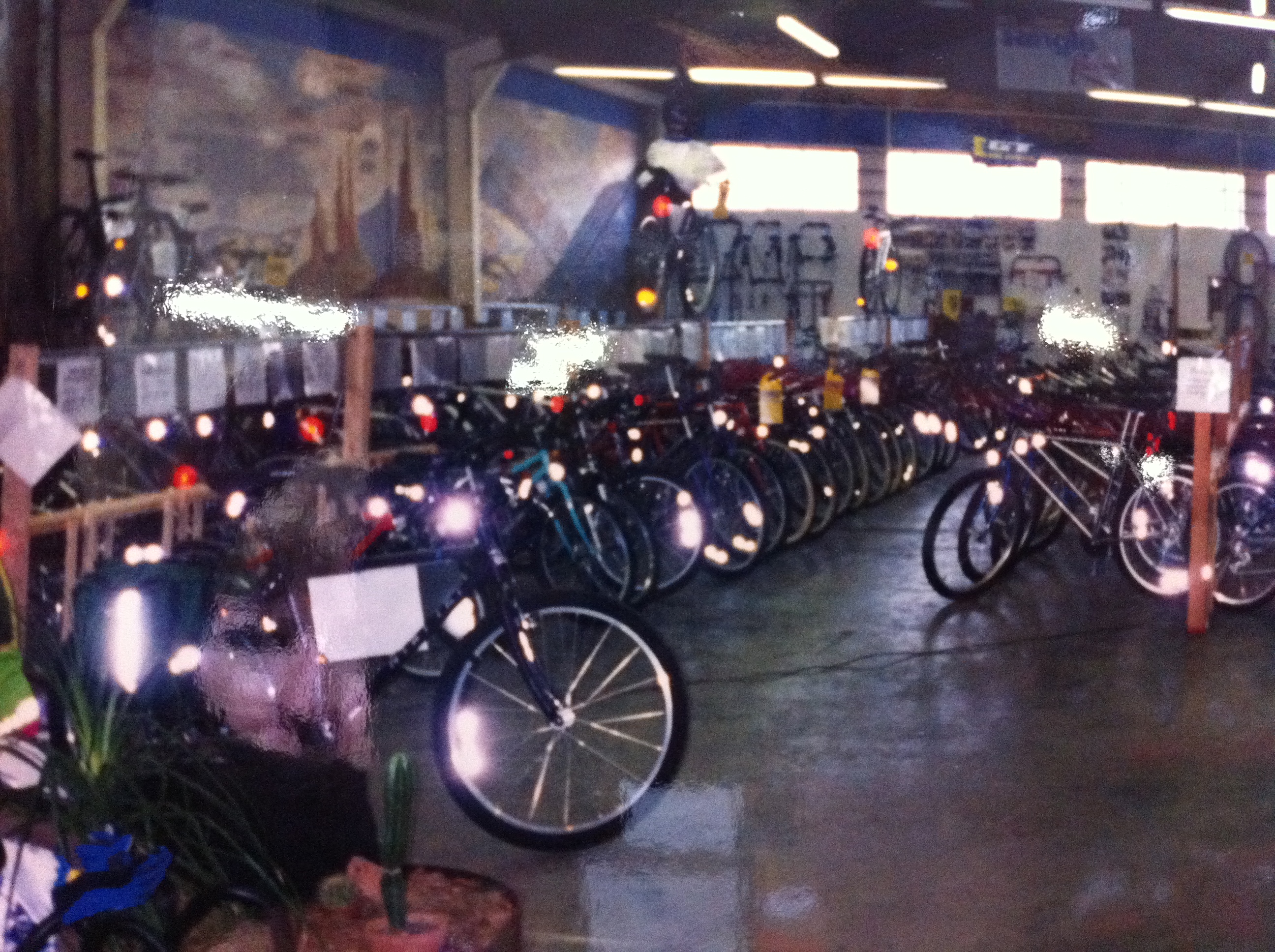 Bicycle Warehouse